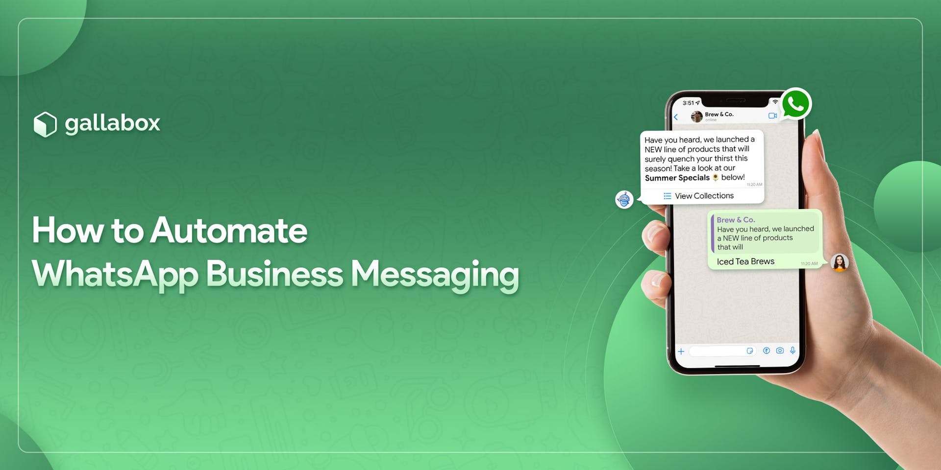 WhatsApp Business Automation: Use cases and Examples