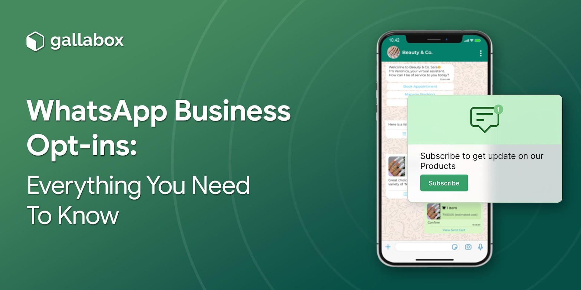 WhatsApp Business Opt-ins: Everything You Need To Know